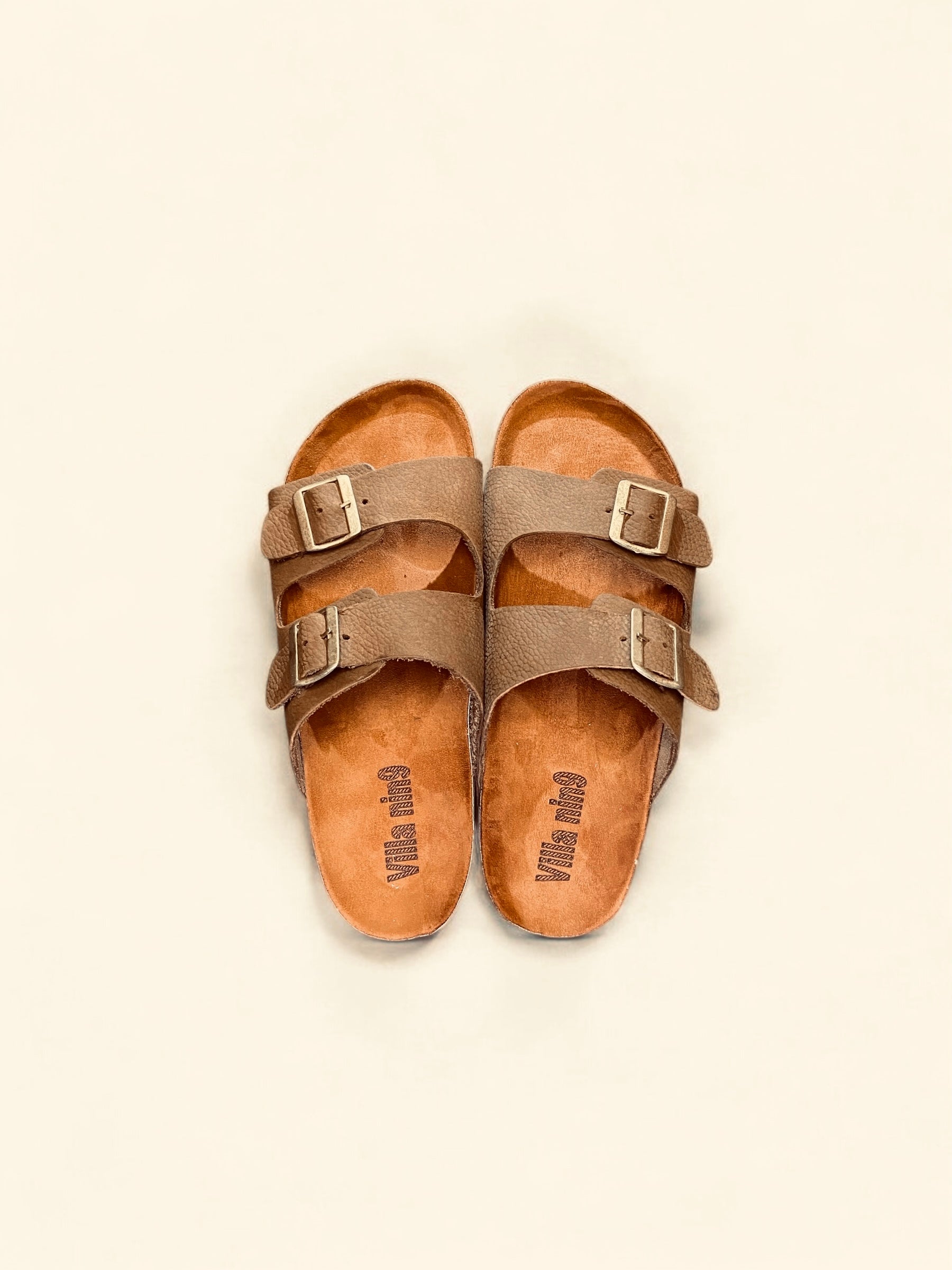 Brown slipper villa nin9