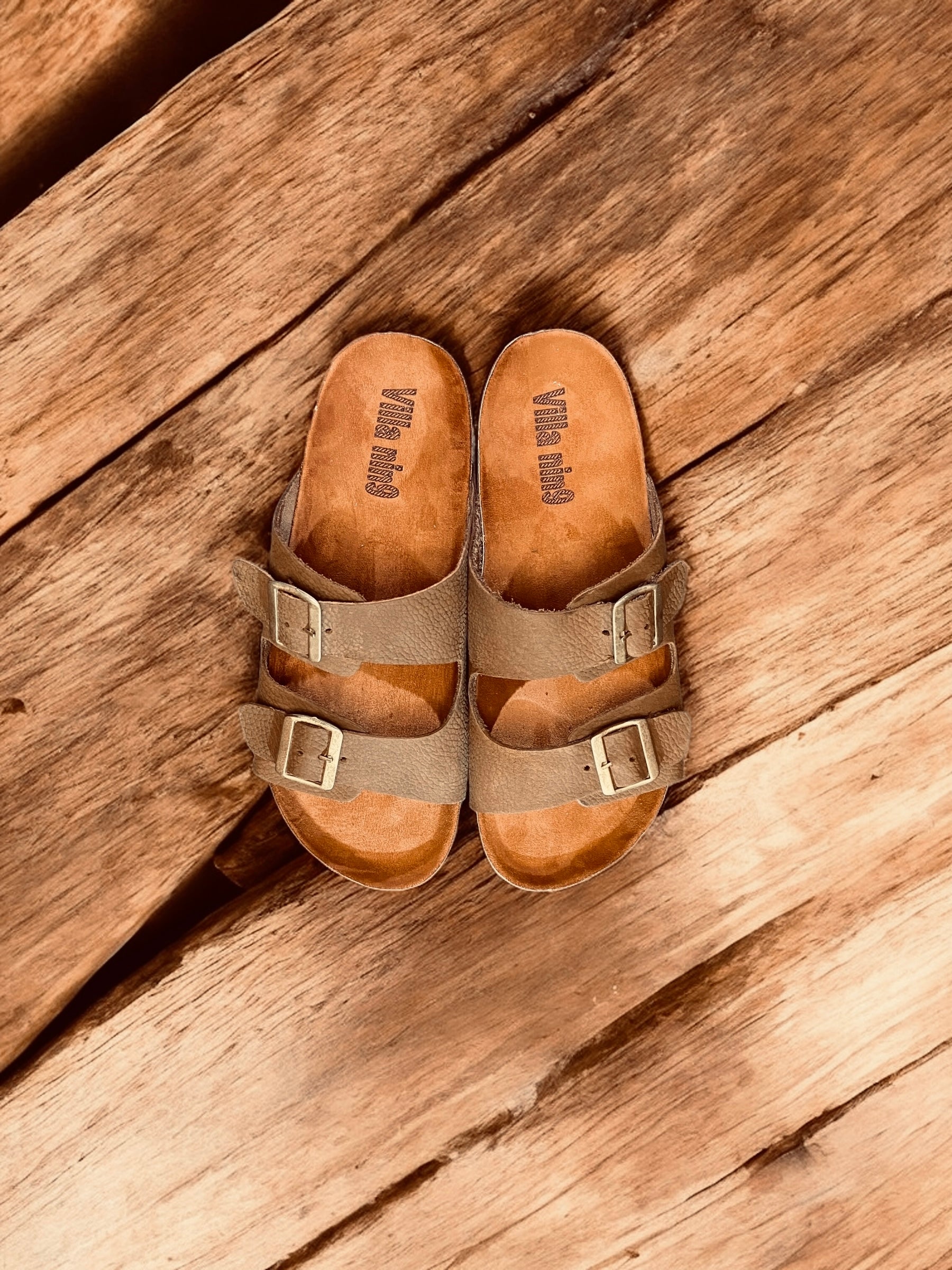 Brown slipper villa nin9